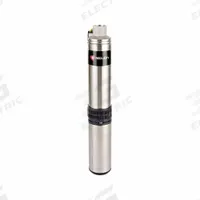 RED LION Submersible Pump 4in: For 4 in Well Pipe Dia., Stainless Steel, 1 hp, 22 gpm, 3 Wires (MPN RS22G10-3W2V). Key specifications — Brand: RED LION; Rated Voltage: 230V AC.