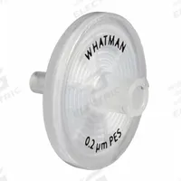 CYTIVA WHATMAN Syringe Filter: Non-Sterile, 0.7 um Pore Size, 100 mL Max Capacity - mL, Male, Female (MPN 6787-2520). Key specifications — Housing Material: Polypropylene; Inlet Connection Gender: Female; Inlet Connection Type: Female Luer Lock; Outlet Connection Gender: Male; Brand: CYTIVA WHATMAN; Compatible Product Type: Female Luer Lock; Filter Material: Glass Microfiber; Outlet Connection Type: Male Luer Slip.