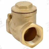 APPROVED VENDOR Swing Check Valve: Swing, Inline Valve Body, 3/4 in Pipe Size, FNPT x FNPT, Brass (MPN 6VDT4). Key specifications — Brand: APPROVED VENDOR.