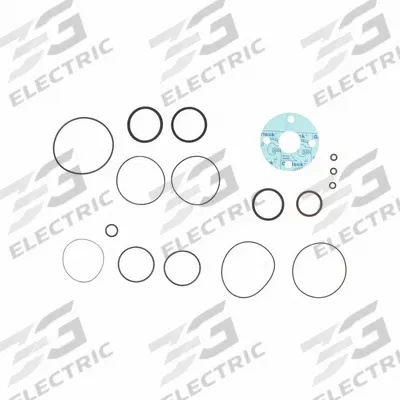 FILL-RITE Viton Seal Kit: Viton Seal Kit, Fill-Rite, (14) O-Rings/(2) Gaskets (MPN SK15VIT-V13) - Pumps