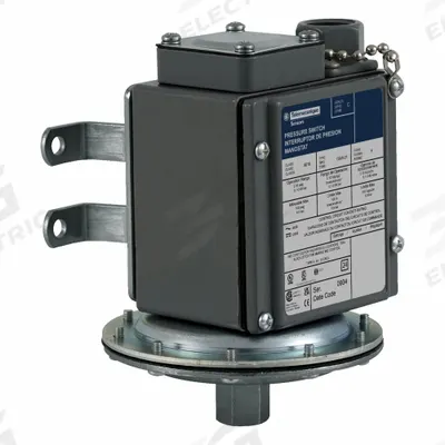 TELEMECANIQUE SENSORS Vacuum Switch: 9016G, DPDT, 100 psi Pressure - Max - Diaphragm Vacuum Switches for Sensitive-Control Applications