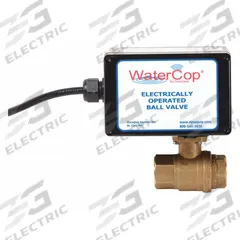 WATERCOP Electrically Actuated Two-Way Ball Valve: 1 in, Brass, 12V DC, FNPT x FNPT, Straight (MPN EHW25AJP01D). Key specifications — Included Mounting: ISO 5211 Actuator Mounting Pad; Brand: WATERCOP; Stem Material: Nickel-Plated Brass.