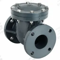 ASAHI Swing Check Valve: Swing, Inline Valve Body, 2 in Pipe Size, Flange x Flange, PVC, Std, EPDM (MPN 1201020). Key specifications — Brand: ASAHI.