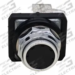 DAYTON Flush Push Button Operator: Non-Illuminated, Flush Profile, Metallic, 30 mm, 1NO/1NC (MPN GGS_116335). Key specifications — Brand: DAYTON; Action: Momentary; Push Button Material Type: Metallic.