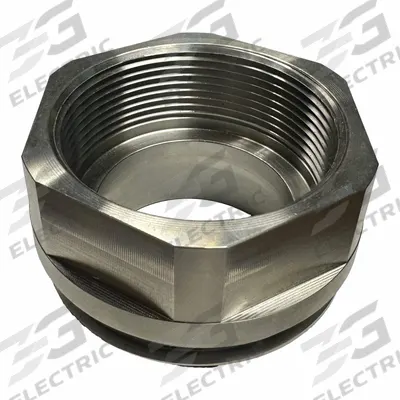 ACTION PUMP Bung Adapter: Bung Adapter, 316 Stainless Steel, 2 3/4 in - Bung Adapters