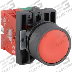 DAYTON Flush Push Button Operator: Non-Illuminated, Flush Profile, Non-Metallic, 22 mm, 1NO/1NC (MPN 30G234). Key specifications — Brand: DAYTON; Action: Momentary; Series: Dayton; Terminal Connection: Pressure Plate; Push Button Material Type: Non-Metallic.