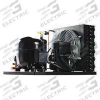 EMBRACO Refrigeration Condensing Unit: R-134A, 3/4 hp Horsepower, 115V AC, 60 Hz (MPN UNEU6214Z1). Key specifications — Brand: EMBRACO; Manufacturer Part Number: UNEU6214Z1; Voltage: 115V AC; Frequency: 60 Hz; Refrigerant Type: R-134A.