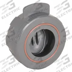HAYWARD Wafer Check Valve: Swing, Inline Valve Body, 2 in Pipe Size, Wafer, PVC, For Water Media (MPN WCV1200V). Key specifications — Brand: HAYWARD.