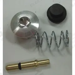 GUARDAIR Valve Repair Kit: 5 13/32 in Overall Lg, 74PK01. Key specifications — attr78199: Valve Repair Kit; attr75054: 74PK01; attr75057: GUARDAIR; attr75078: Valve.