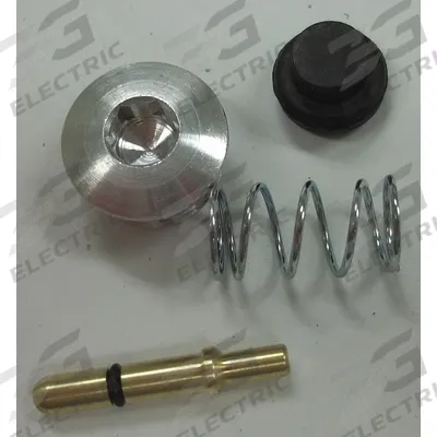 GUARDAIR Valve Repair Kit: 5 13/32 in Overall Lg - Repair & Replacement Parts