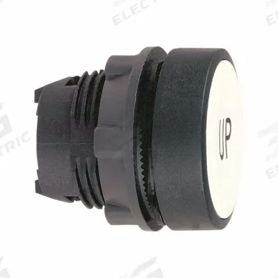 SCHNEIDER Flush Push Button: 22 mm Mounting Size, Non-Metallic - Flush-Mount & Recessed Push-Button Operators
