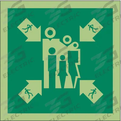 IMO (International Maritime Organization) Safety Sign: Vinyl, Adhesive Sign Mounting - Square Assembly Muster Station Symbol Signs