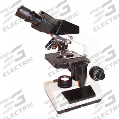 LW SCIENTIFIC Medical Microscope: Compound, Trinocular, 40X to 1000X - Compound Microscopes