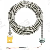 TEMPCO Extension Lead: Extension Lead, 900°F Max Temp °F, 482°C Max Temp °C, Male, Female (MPN ECA00079). Key specifications — End 2 Connection Gender: Female; End 2 Connection Type: Standard Connector; End 1 Connection Gender: Male; Brand: TEMPCO.