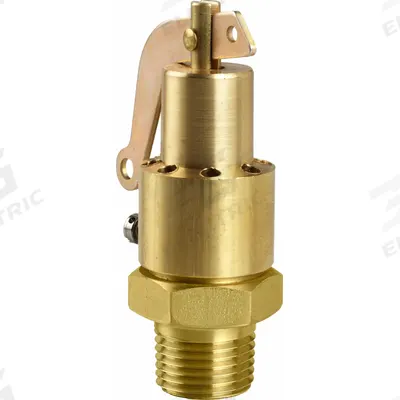AQUATROL Safety Relief Valve: MNPT x Vented, 1/4 in x 1/4 in, 214 psi Max. Op Pressure - ASME Section VIII Steam Pressure Relief Valves