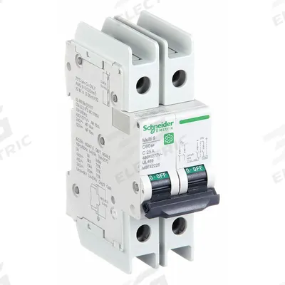 SCHNEIDER Miniature Circuit Breaker: 25 A Amps, 14kA at 120/240V AC, Screw Clamp - C-Curve, 2-Pole UL489 DIN Rail-Mount Miniature Circuit Breakers