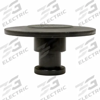 BUYERS PRODUCTS Trailer King Pin: Trailer King Pin, 2 in Overall Lg, 1 1/2 in Overall Wd - Fleet and Vehicle Maintenance
