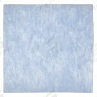 GRAINGER Air Filter Pad: 20 in x 25 in x 1 in, Polyester, Blue/White (MPN 5W098). Key specifications — attr1286261: Polyester; attr1286264: Yes; attr1286288: White; attr1286283: GRAINGER.