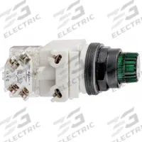 SCHNEIDER Illuminated Push Button: Illuminated, Extended Profile, Non-Metallic, 30 mm, SPDT (MPN 9001SK2L1GH13). Key specifications — Brand: SCHNEIDER; Action: Momentary; Series: 9001SK; Push Button Material Type: Non-Metallic.