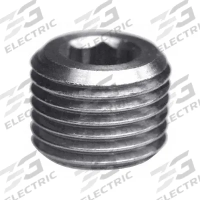 LEGRIS Plug: Hex Drive Cored Plug, 1/2 in, BSPT Threaded, Nickel-Plated Brass - Threaded Medium-Pressure Pipe Fittings