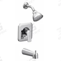RIZON Tub and Shower Trim Kit: Rizon Posi-Temp T2813, 2.5 gpm Fixed Showerhead Flow Rate, Chrome. Key specifications — Connection Type: IPS; Series: Rizon Posi-Temp T2813; Showerhead Spray Patterns: Single.
