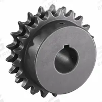 TRITAN Roller Chain Sprocket: 40-2, For 1/2 in Chain Pitch, 1 in Bore Dia, 21 Teeth, Steel (MPN D40BS21H X 1). Key specifications — Brand: TRITAN.