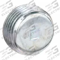 Blank Plugs - Haz Loc: Steel, Electroplated, 3/4 in Trade Size, NPT, Male to Male (MPN PLG-75R). Key specifications — Brand: APPLETON ELECTRIC.