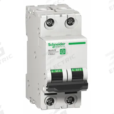 SCHNEIDER Supplementary Protector: 10 A Amps, 14kA at 240V AC, Screw Clamp, C60SP - B-Curve, 2-Pole UL1077 DIN Rail-Mount Supplementary Protectors