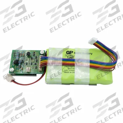 RICE LAKE WEIGHING Rechargeable Battery: TP-220/TP-820 (107244 - Material Handling