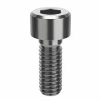 Socket Head Cap Screw: M6x1.00 Thread Size, 16 mm Lg, Std, NL-19, Stainless Steel, 18-8, 100 PK (MPN FBMSHCAPS61016P100)