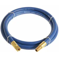PVC air hose assembly with blue cover, 1/4 in inside diameter, 10 ft length. Terminated with 1/4 in FNPSM female swivel and 1/4 in MNPT male fittings. Suitable for pneumatic tool supply, air line connections, and compressed air distribution in workshops and industrial settings
