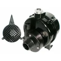 Centrifugal Pump: 115V AC, 7.8 ft Max Head, 1/2 in, 1/4 in Intake and Disch (MPN 12U596)