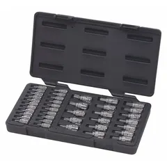 This hex bit socket set includes both 1/4 in and 3/8 in drive sizes with a fixed insert design. The tip size range covers 1/16 in to T55, suitable for driving hex and Torx fasteners in automotive repair, machinery maintenance, and assembly work.