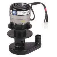 MANITOWOC Water Pump: 2007679