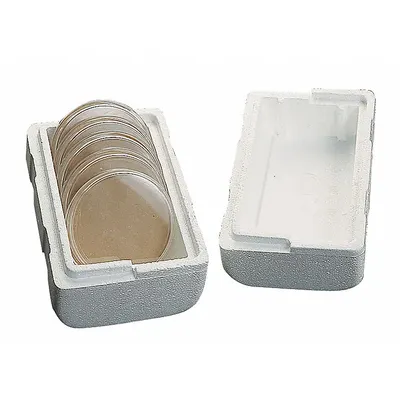 Pengirim Cawan Petri THERMOSAFE: Cawan Petri Menampung Wadah, Tinggi Luar 5 in, Panjang Luar 7 1/2 in - Lab Petri Dish Mailers