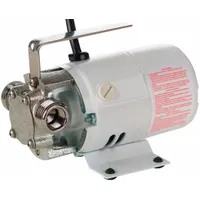 LITTLE GIANT Utility Pump: 12V DC, 25 ft Max head, 1 ft Cord Lg, Vehicle Battery, Stainless Steel (MPN 555602)