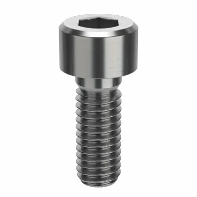 FOREVERBOLT Sekrup Kepala Soket: Ukuran Ulir M6x1.00, 16 mm Pjg, Std, NL-19, Baja Tahan Karat - Metric System Standard Socket Head Cap Screws