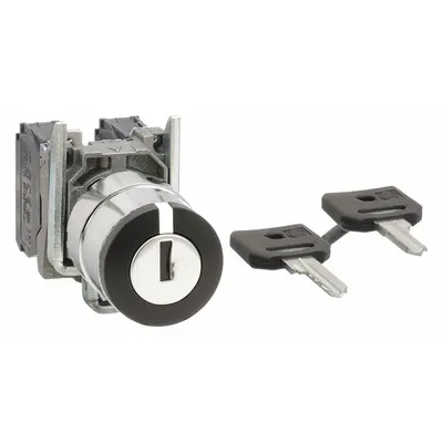 SCHNEIDER Sakelar Pemilih: 3 Posisi, 22 mm Ukuran Pemasangan Panel, 2NO - Panel-Mounted Key Switches with Contacts