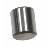 DAYTON Roller: For 3TP98G/3TP99G/3TR01G, Fits Dayton Brand, 24 PK (MPN 71290880G)