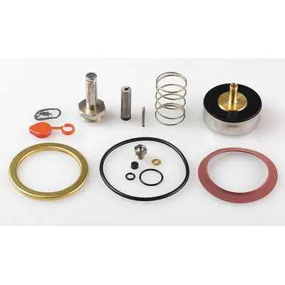 ASCO Kit Rebuild Katup (MPN 310420) - Repair Kits for Solenoid Valves
