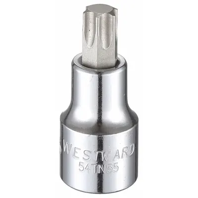 WESTWARD Mata Soket: 1/2 in Ukuran Penggerak, Ujung Torx, Ukuran Ujung T55, Panjang Keseluruhan 2 1/2 in - Torx Bit Sockets
