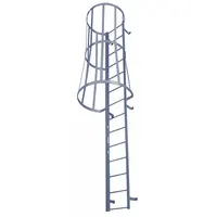 COTTERMAN Fixed Ladder with Safety Cage: 10 ft Overall Ht, 26 in Overall Wd, Steel, 11 Rungs (MPN M11SC C1)