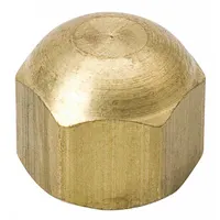 MUELLER Access Valve Cap: 1/4 in Female SAE Right-Hand, 9/16 in Overall Ht, Brass (MPN A 04544)