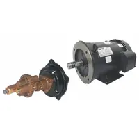 DAYTON Rotary Gear Pump: Direct Drive, 3 hp Horsepower, 230/460V AC, Bronze Body, PPS Gear, 1" FNPT