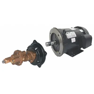 Dayton Pompa Roda Gigi Rotary: Penggerak Langsung, 3 hp Daya Kuda, 230/460V AC, Badan Perunggu - Direct-Drive Rotary Gear Pumps
