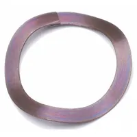 Wave Disc Spring: 28.7 mm I.D., 37 mm O.D., Carbon Steel, 25 PK (MPN WWMO014605023)