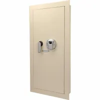 Safe: Biometric Lock, 1.77 cu ft Capacity, Steel, 31 1/2 in H x 15 1/2 in W x 4 in D (MPN AX12408)