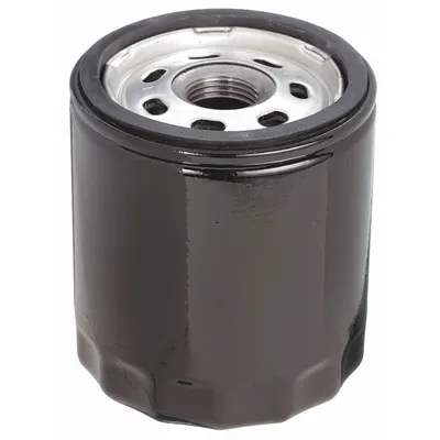 SPEEDAIRE Filter, Oli: P10066A - Air Compressor Parts