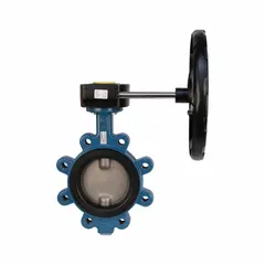 This ductile iron butterfly valve features a concentric lug-style body with a stainless steel disc. It is gear-operated via handwheel and rated for a maximum pressure of 250 psi (CWP). Suitable for on-off and throttling control in industrial piping systems such as water treatment and HVAC.