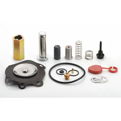 ASCO Kit Rebuild Katup (MPN 302338) - Repair Kits for Solenoid Valves
